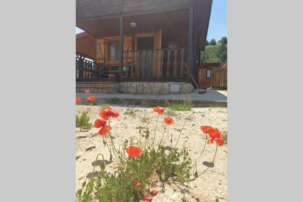 Cabana De Madera Especial Y Acogedora Cardenete Eksteriør bilde