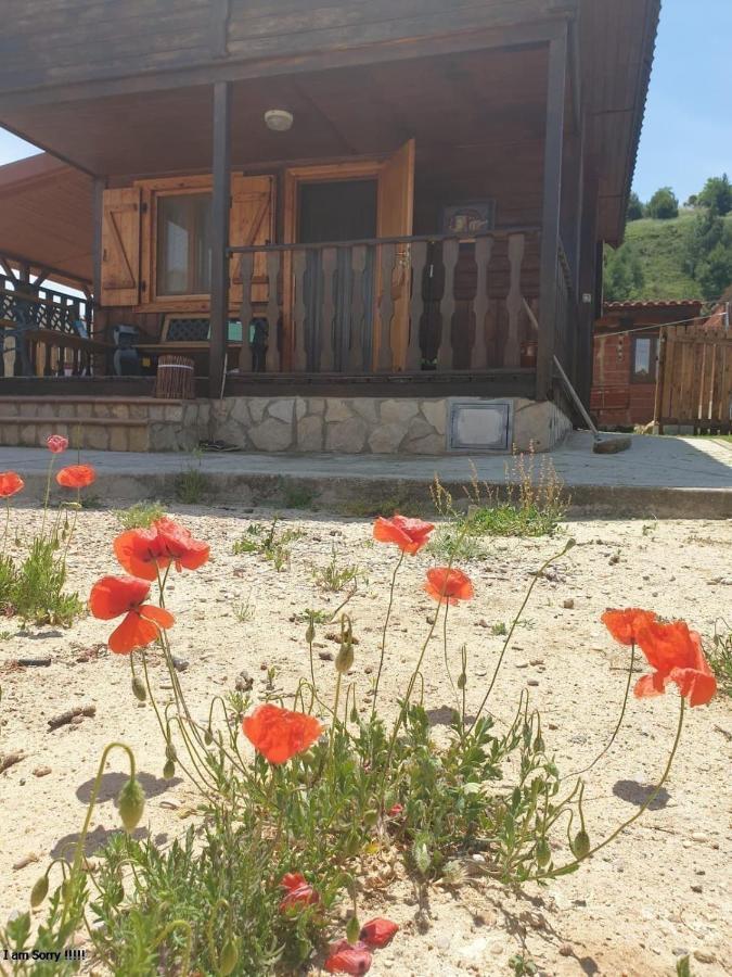 Cabana De Madera Especial Y Acogedora Cardenete Eksteriør bilde